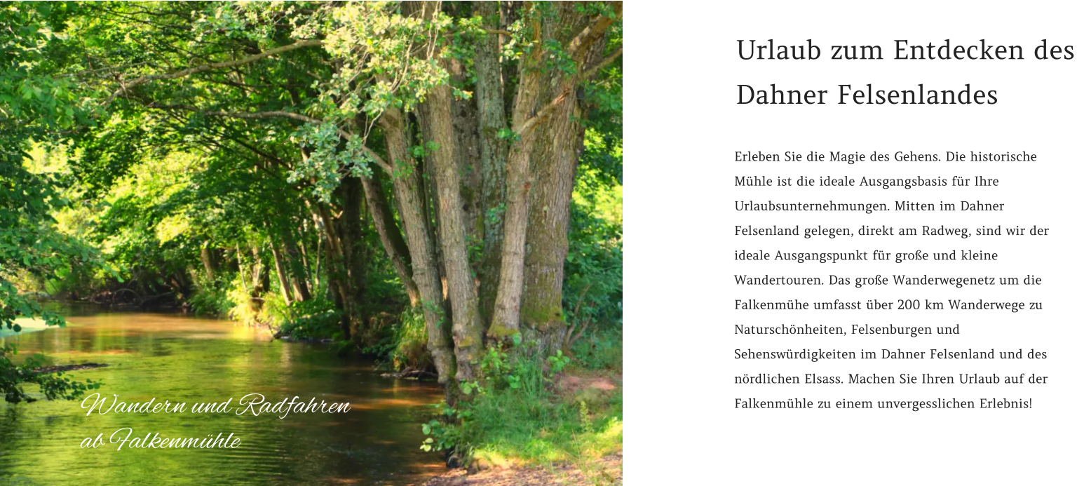 Erleben Sie die Magie des Gehens. Die historische Mühle ist die ideale Ausgangsbasis für Ihre Urlaubsunternehmungen. Mitten im Dahner Felsenland gelegen, direkt am Radweg, sind wir der ideale Ausgangspunkt für große und kleine Wandertouren. Das große Wanderwegenetz um die Falkenmühe umfasst über 200 km Wanderwege zu Naturschönheiten, Felsenburgen und Sehenswürdigkeiten im Dahner Felsenland und des nördlichen Elsass. Machen Sie Ihren Urlaub auf der Falkenmühle zu einem unvergesslichen Erlebnis!  Urlaub zum Entdecken des  Dahner Felsenlandes Wandern und Radfahren ab Falkenmühle