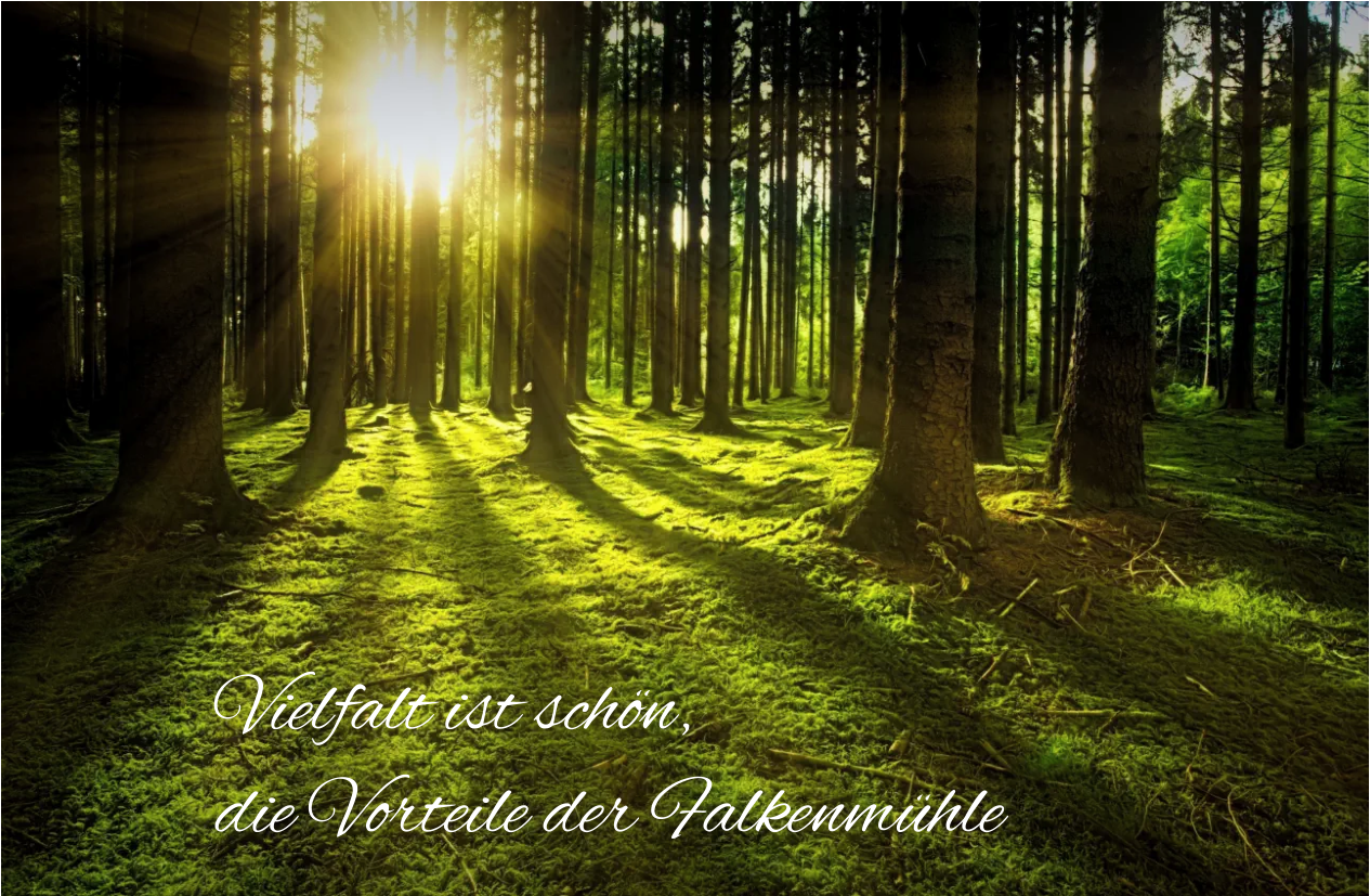 Vielfalt ist schön,  die Vorteile der Falkenmühle